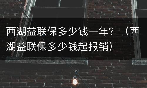 西湖益联保多少钱一年？（西湖益联保多少钱起报销）