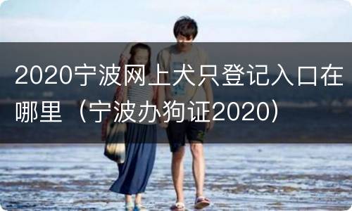 2020宁波网上犬只登记入口在哪里（宁波办狗证2020）