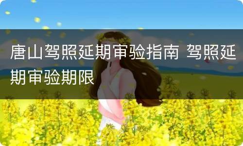 唐山驾照延期审验指南 驾照延期审验期限