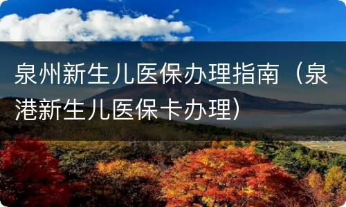 泉州新生儿医保办理指南（泉港新生儿医保卡办理）
