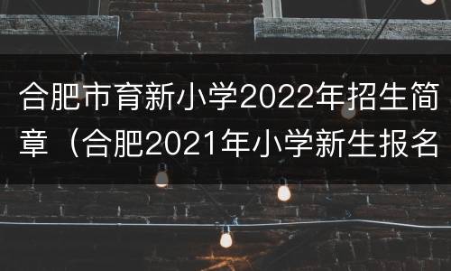 合肥市育新小学2022年招生简章（合肥2021年小学新生报名时间）