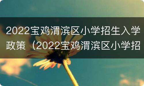 2022宝鸡渭滨区小学招生入学政策（2022宝鸡渭滨区小学招生入学政策是什么）