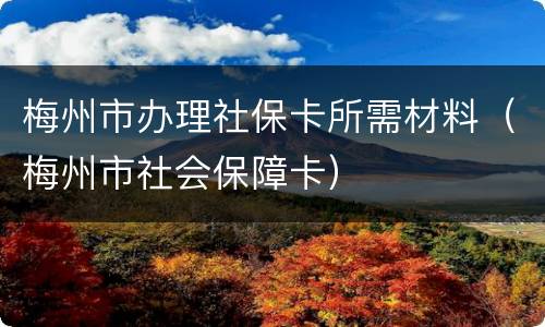 梅州市办理社保卡所需材料（梅州市社会保障卡）