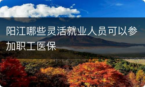 阳江哪些灵活就业人员可以参加职工医保