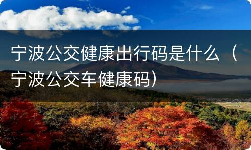 宁波公交健康出行码是什么（宁波公交车健康码）