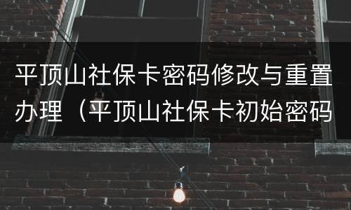 平顶山社保卡密码修改与重置办理（平顶山社保卡初始密码是多少）