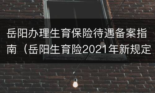 岳阳办理生育保险待遇备案指南（岳阳生育险2021年新规定）