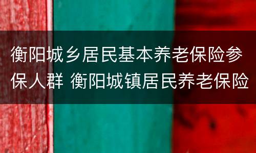 衡阳城乡居民基本养老保险参保人群 衡阳城镇居民养老保险