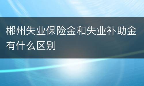 郴州失业保险金和失业补助金有什么区别