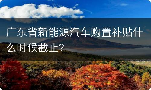 广东省新能源汽车购置补贴什么时候截止？