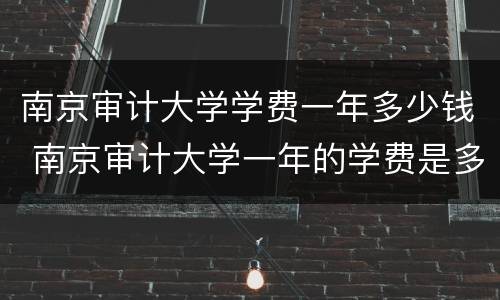 南京审计大学学费一年多少钱 南京审计大学一年的学费是多少