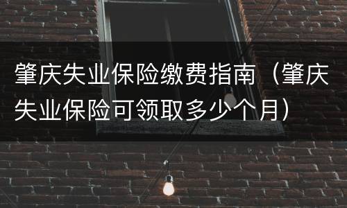 肇庆失业保险缴费指南（肇庆失业保险可领取多少个月）