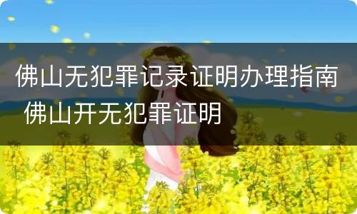 佛山无犯罪记录证明办理指南 佛山开无犯罪证明