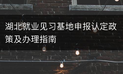 湖北就业见习基地申报认定政策及办理指南
