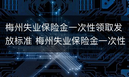 梅州失业保险金一次性领取发放标准 梅州失业保险金一次性领取发放标准是什么