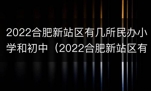 2022合肥新站区有几所民办小学和初中（2022合肥新站区有几所民办小学和初中呢）