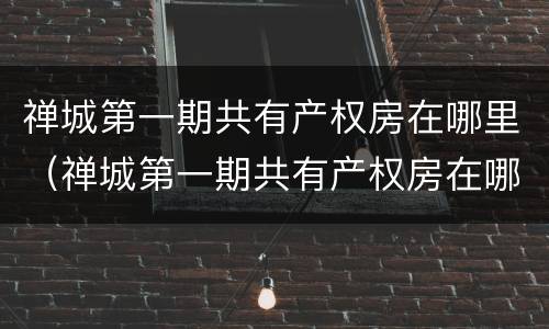 禅城第一期共有产权房在哪里（禅城第一期共有产权房在哪里建）