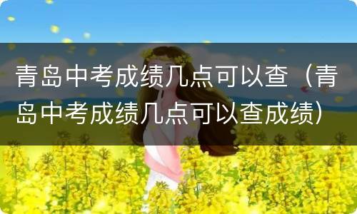 青岛中考成绩几点可以查（青岛中考成绩几点可以查成绩）