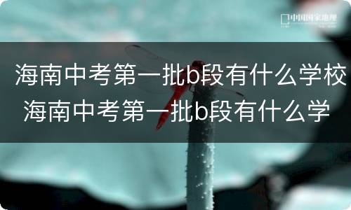 海南中考第一批b段有什么学校 海南中考第一批b段有什么学校可以报
