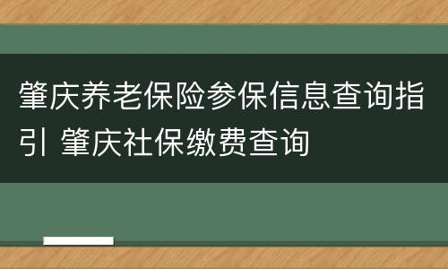 肇庆养老保险参保信息查询指引 肇庆社保缴费查询
