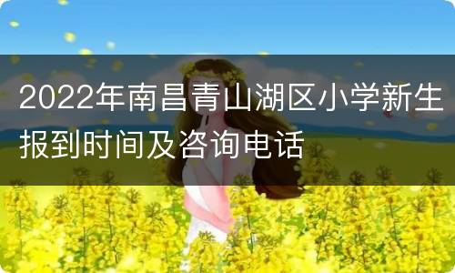 2022年南昌青山湖区小学新生报到时间及咨询电话