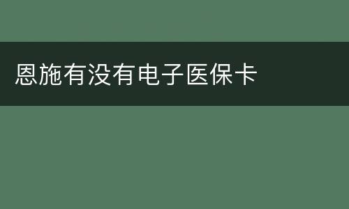 恩施有没有电子医保卡