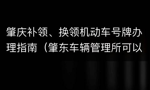 肇庆补领、换领机动车号牌办理指南（肇东车辆管理所可以换证吗?）