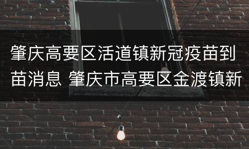 肇庆高要区活道镇新冠疫苗到苗消息 肇庆市高要区金渡镇新冠疫苗
