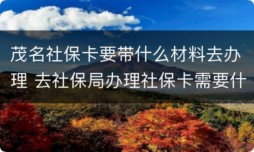 茂名社保卡要带什么材料去办理 去社保局办理社保卡需要什么资料