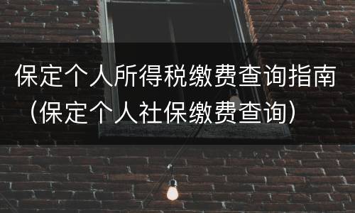 保定个人所得税缴费查询指南（保定个人社保缴费查询）