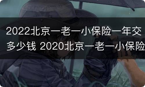 2022北京一老一小保险一年交多少钱 2020北京一老一小保险一年交多少钱