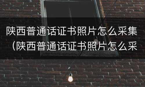 陕西普通话证书照片怎么采集（陕西普通话证书照片怎么采集的）