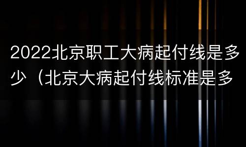 2022北京职工大病起付线是多少（北京大病起付线标准是多少）