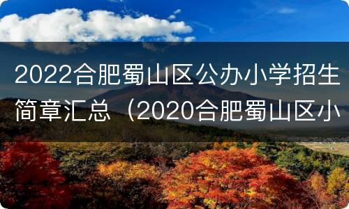 2022合肥蜀山区公办小学招生简章汇总（2020合肥蜀山区小学划分）