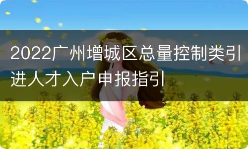 2022广州增城区总量控制类引进人才入户申报指引