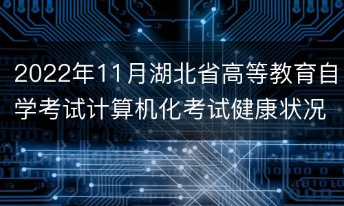 2022年11月湖北省高等教育自学考试计算机化考试健康状况承诺书下载