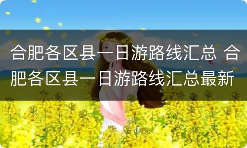 合肥各区县一日游路线汇总 合肥各区县一日游路线汇总最新