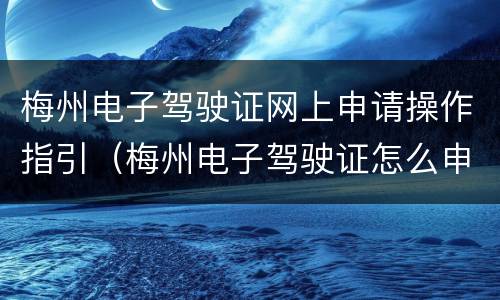 梅州电子驾驶证网上申请操作指引（梅州电子驾驶证怎么申请）