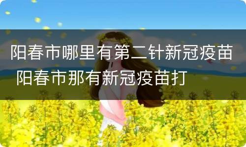 阳春市哪里有第二针新冠疫苗 阳春市那有新冠疫苗打