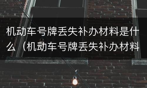 机动车号牌丢失补办材料是什么（机动车号牌丢失补办材料是什么意思）