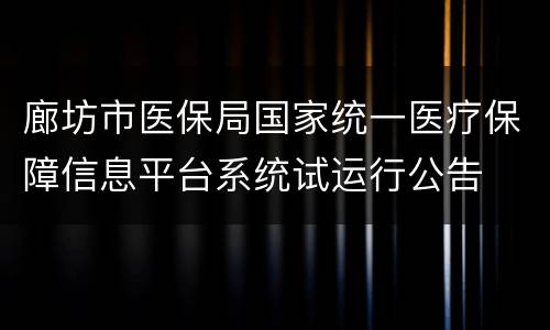 廊坊市医保局国家统一医疗保障信息平台系统试运行公告
