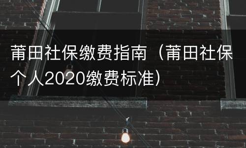 莆田社保缴费指南（莆田社保个人2020缴费标准）