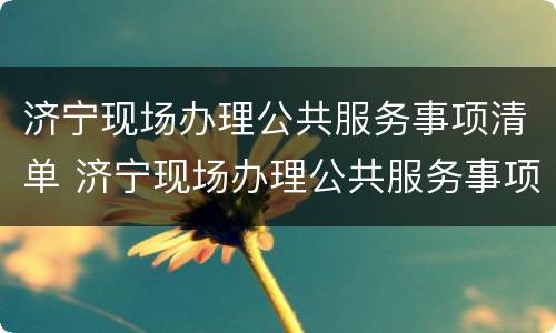 济宁现场办理公共服务事项清单 济宁现场办理公共服务事项清单公示