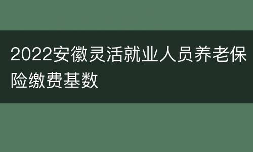 2022安徽灵活就业人员养老保险缴费基数