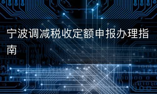 宁波调减税收定额申报办理指南