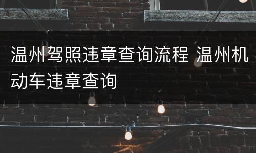 温州驾照违章查询流程 温州机动车违章查询