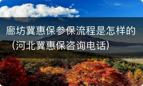 廊坊冀惠保参保流程是怎样的（河北冀惠保咨询电话）