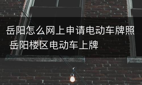 岳阳怎么网上申请电动车牌照 岳阳楼区电动车上牌
