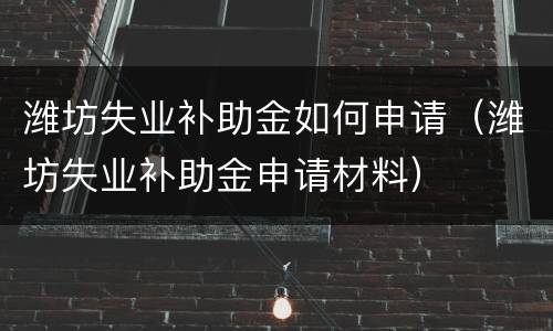 潍坊失业补助金如何申请（潍坊失业补助金申请材料）