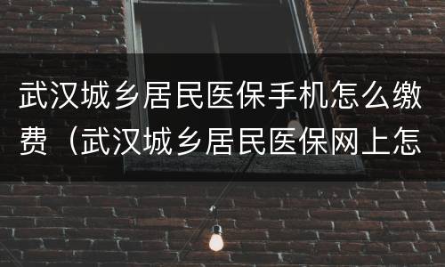 武汉城乡居民医保手机怎么缴费（武汉城乡居民医保网上怎么缴费）
